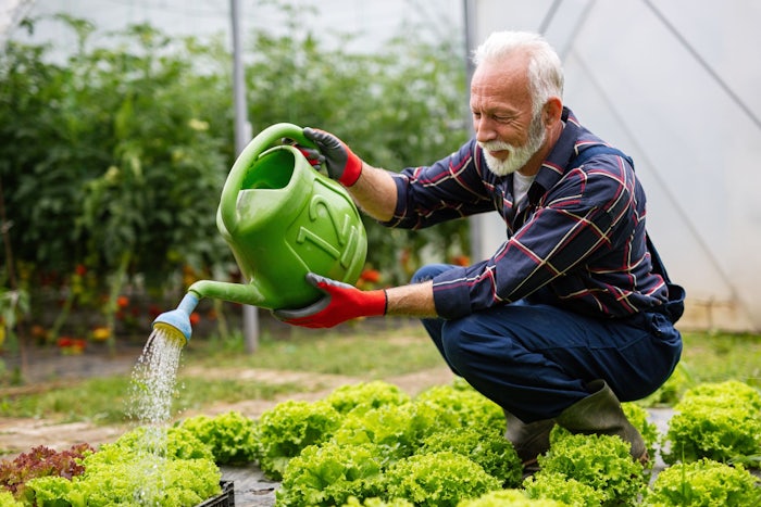 Plant Selection